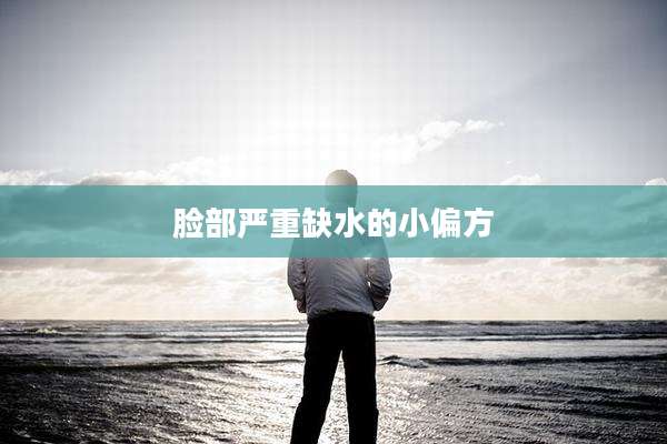 脸部严重缺水的小偏方