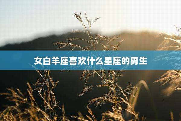女白羊座喜欢什么星座的男生