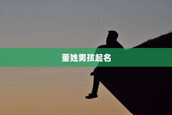 董姓男孩起名