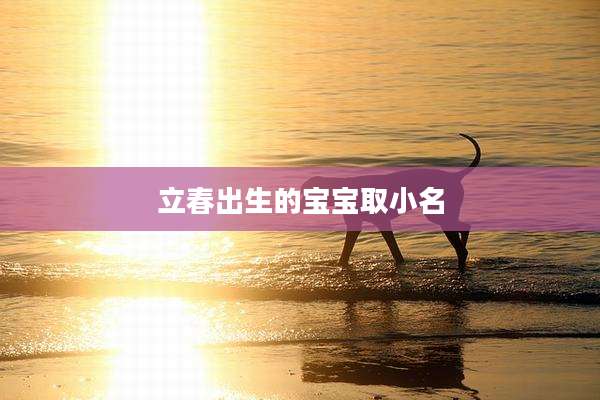 立春出生的宝宝取小名