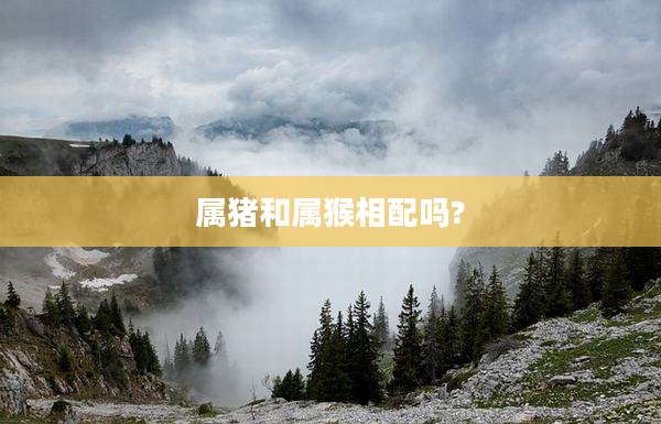 属猪和属猴相配吗?