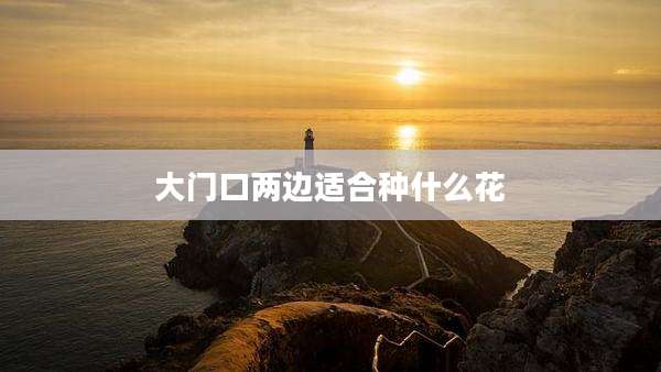 大门口两边适合种什么花
