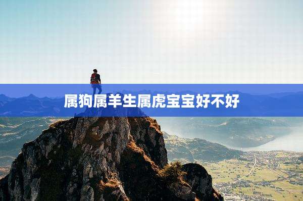 属狗属羊生属虎宝宝好不好