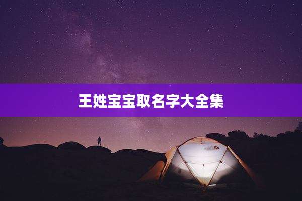 王姓宝宝取名字大全集