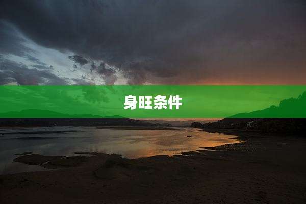 身旺条件
