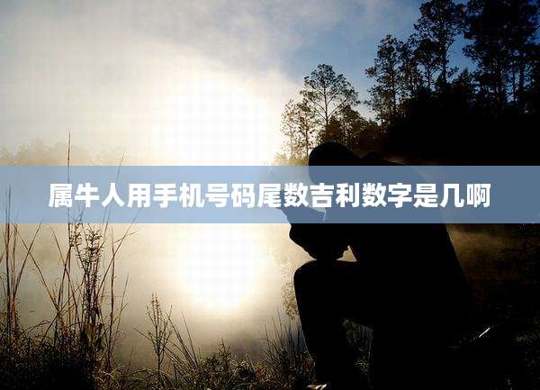 属牛人用手机号码尾数吉利数字是几啊