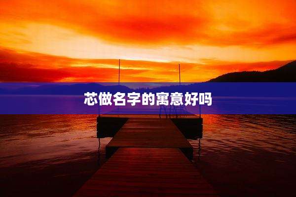 芯做名字的寓意好吗