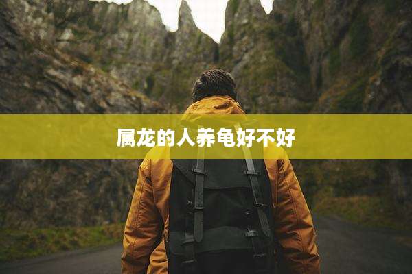 属龙的人养龟好不好