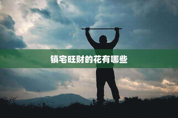 镇宅旺财的花有哪些