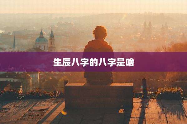 生辰八字的八字是啥