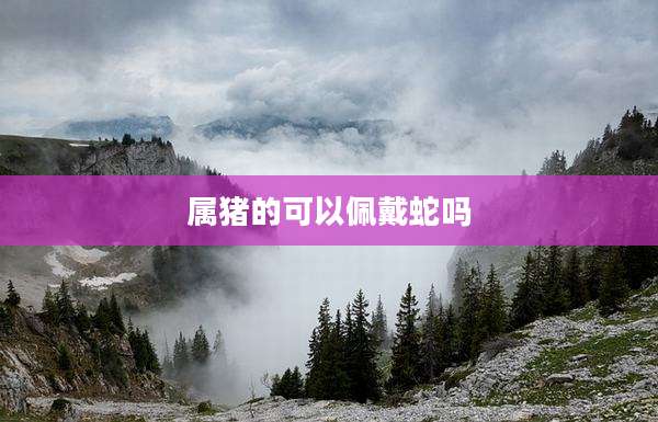 属猪的可以佩戴蛇吗