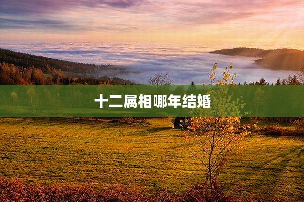 十二属相哪年结婚