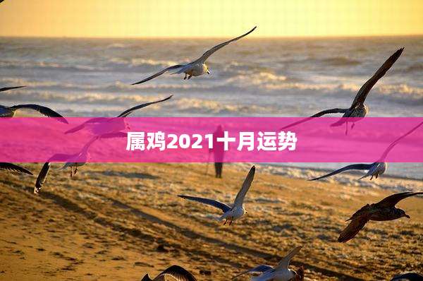 属鸡2021十月运势