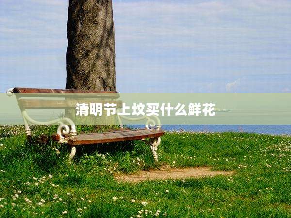 清明节上坟买什么鲜花