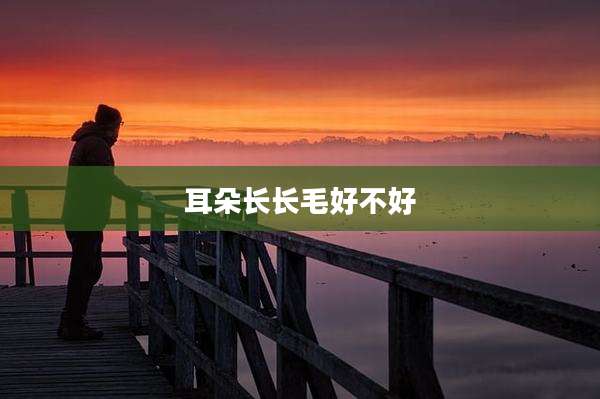 耳朵长长毛好不好