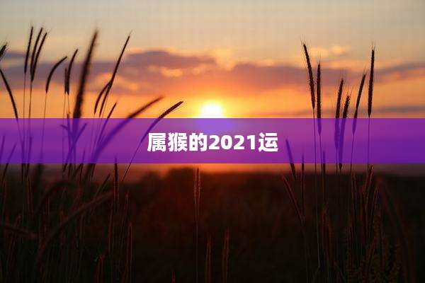 属猴的2021运