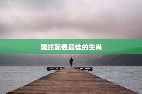属蛇配偶最佳的生肖