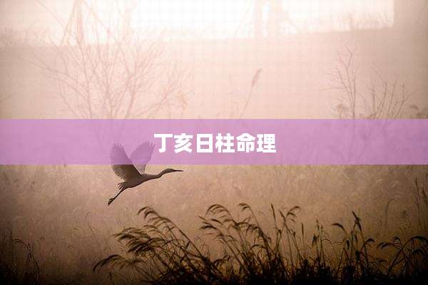 丁亥日柱命理