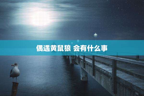 偶遇黄鼠狼 会有什么事