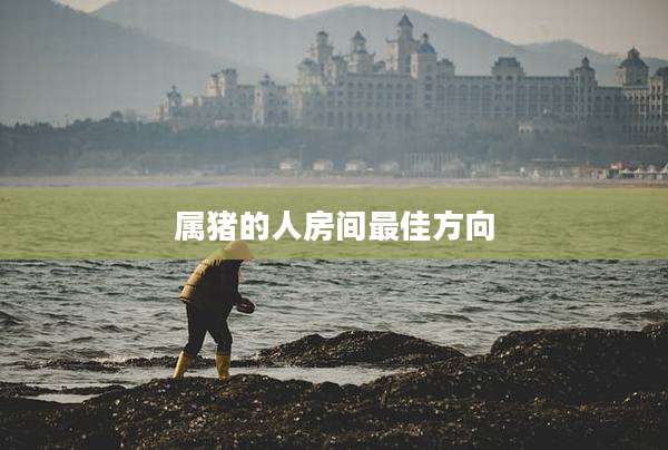 属猪的人房间最佳方向