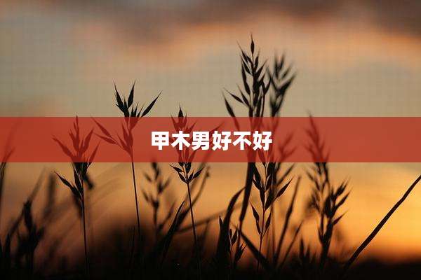 甲木男好不好