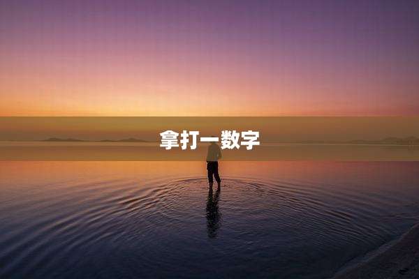 拿打一数字