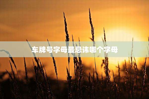 车牌号字母最忌讳哪个字母