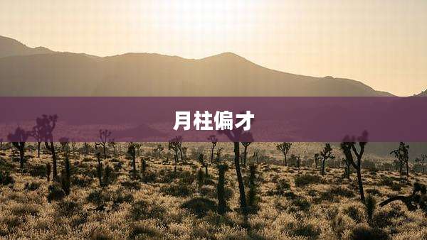 月柱偏才