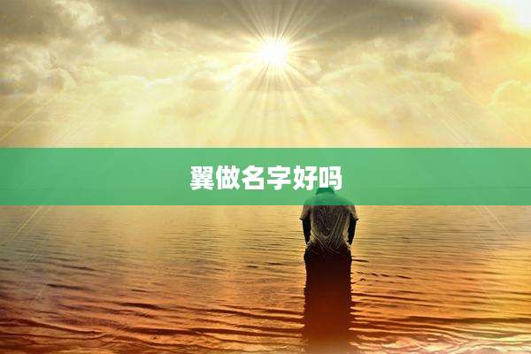 翼做名字好吗