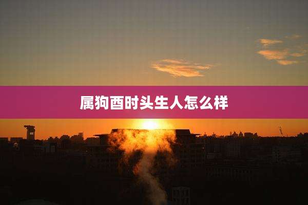 属狗酉时头生人怎么样