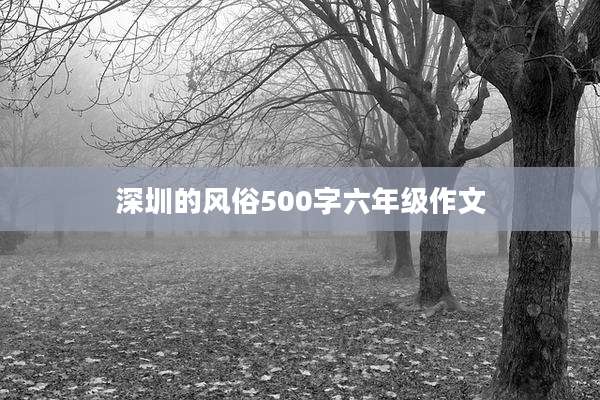深圳的风俗500字六年级作文