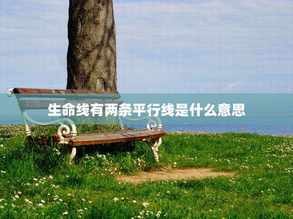 生命线有两条平行线是什么意思