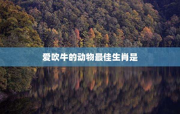 爱吹牛的动物最佳生肖是