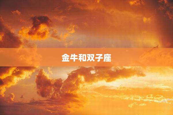 金牛和双子座