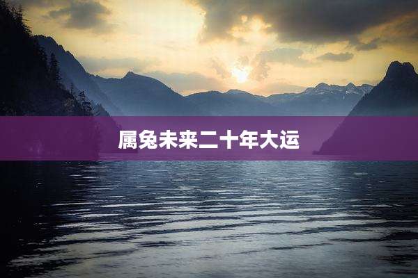 属兔未来二十年大运