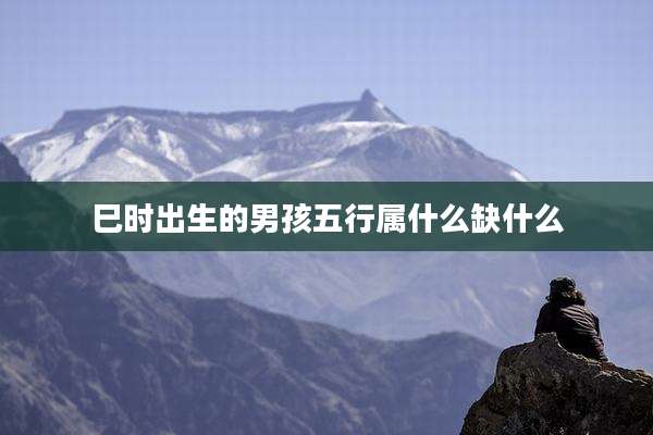 巳时出生的男孩五行属什么缺什么