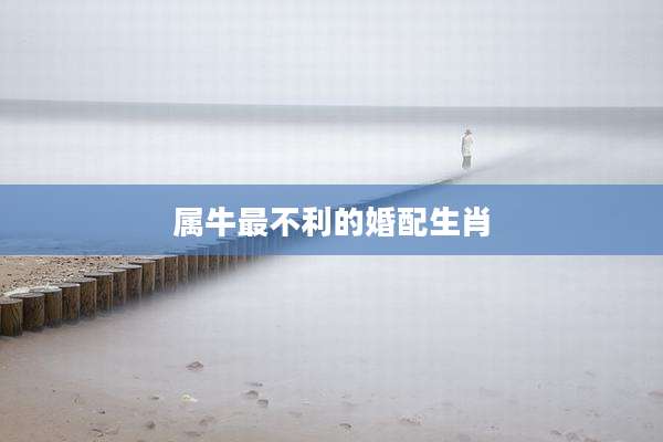 属牛最不利的婚配生肖