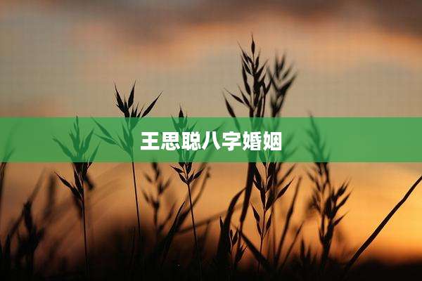 王思聪八字婚姻