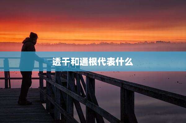 透干和通根代表什么