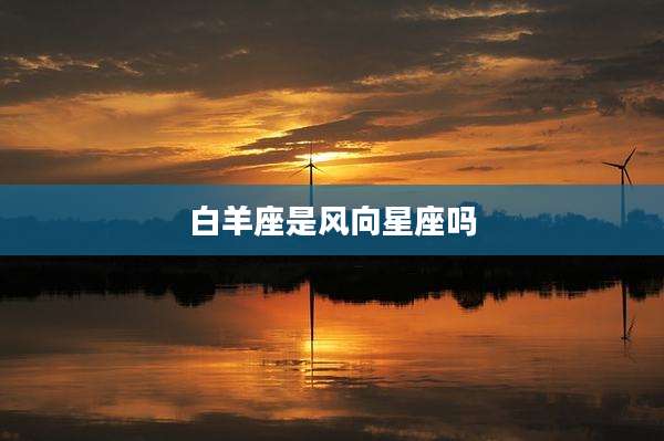 白羊座是风向星座吗