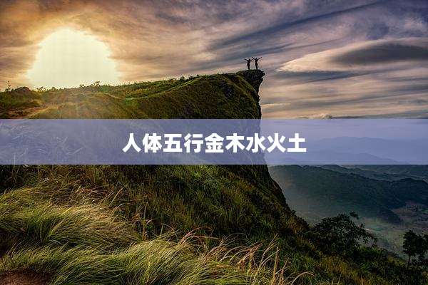 人体五行金木水火土