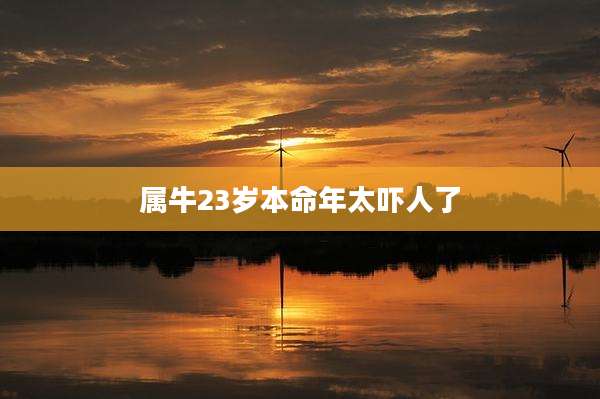 属牛23岁本命年太吓人了