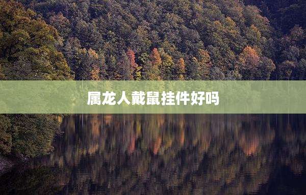 属龙人戴鼠挂件好吗