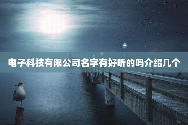 电子科技有限公司名字有好听的吗介绍几个