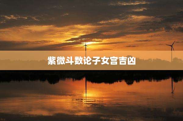 紫微斗数论子女宫吉凶