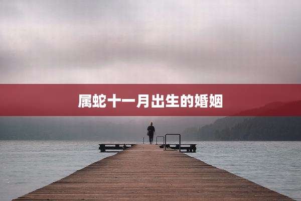 属蛇十一月出生的婚姻