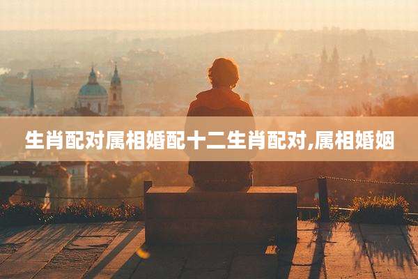 生肖配对属相婚配十二生肖配对,属相婚姻