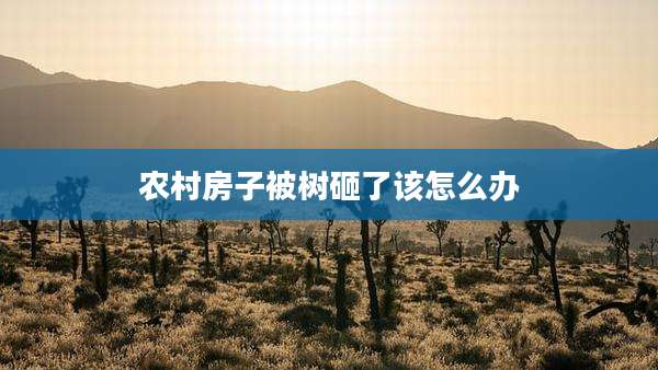 农村房子被树砸了该怎么办