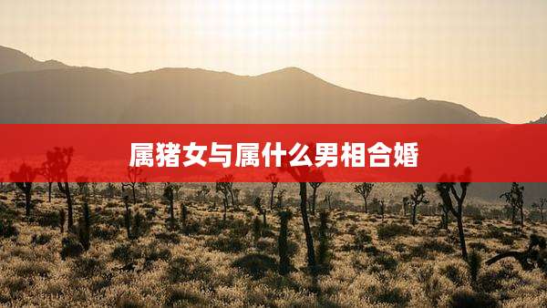 属猪女与属什么男相合婚