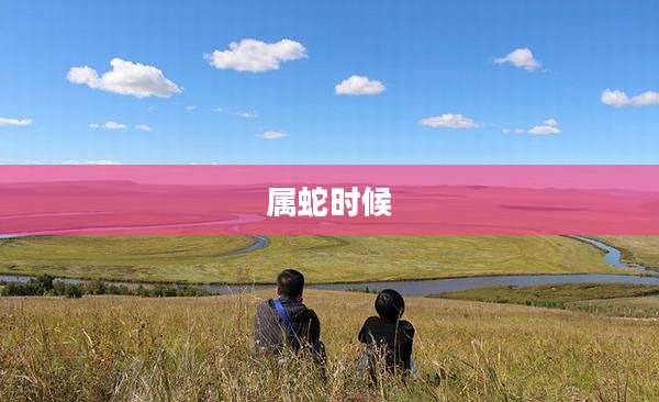 属蛇时候
